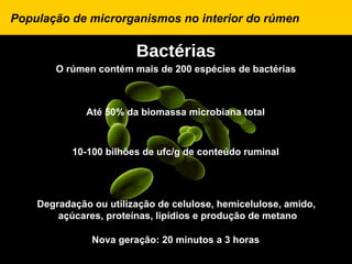 População de microrganismos no interior do rúmen

                        Bactérias
       O rúmen contém mais de 200 espécies de bactérias



              Até 50% da biomassa microbiana total



           10-100 bilhões de ufc/g de conteúdo ruminal




    Degradação ou utilização de celulose, hemicelulose, amido,
        açúcares, proteínas, lipídios e produção de metano

               Nova geração: 20 minutos a 3 horas
 