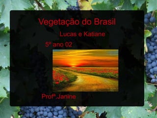 Vegetação do Brasil
Lucas e Katiane
5º ano 02
Profª.Janine
 