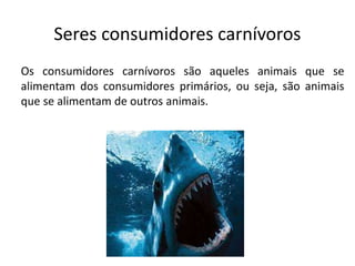 Seres consumidores carnívoros
Os consumidores carnívoros são aqueles animais que se
alimentam dos consumidores primários, ou seja, são animais
que se alimentam de outros animais.
 