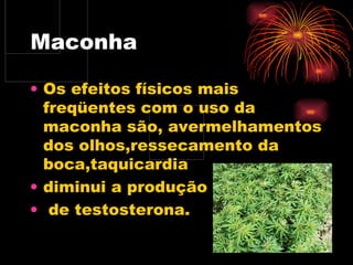 Maconha Os efeitos físicos mais freqüentes com o uso da maconha são, avermelhamentos dos olhos,ressecamento da boca,taquicardia  diminui a produção de testosterona. 