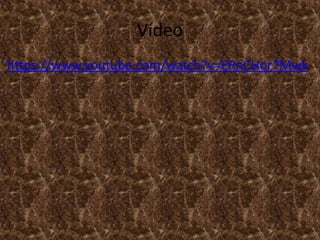 Vídeo
https://www.youtube.com/watch?v=ERnCHor7Mwk
 