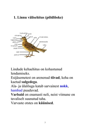 1. Linnu välisehitus (põldlõoke)
Lindude kehaehitus on kohastunud
lendamiseks.
Esijäsemetest on arenenud tiivad, keha on
kaetud sulgedega.
Ala- ja ülalõuga katab sarvainest nokk,
hambad puuduvad.
Varbaid on enamasti neli, neist viimane on
tavaliselt suunatud taha.
Varvaste otstes on küünised.
3
 