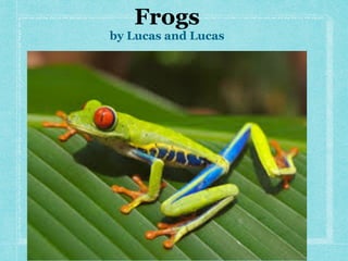 Frogs
by Lucas and Lucas
 