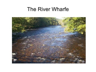 The River Wharfe 