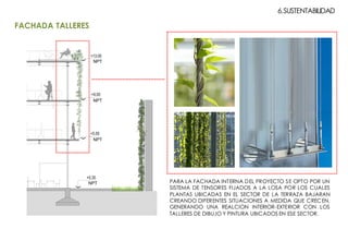 6.SUSTENTABILIDAD
PARA LA FACHADA INTERNA DEL PROYECTO SE OPTO POR UN
SISTEMA DE TENSORES FIJADOS A LA LOSA POR LOS CUALES
PLANTAS UBICADAS EN EL SECTOR DE LA TERRAZA BAJARAN
CREANDO DIFERENTES SITUACIONES A MEDIDA QUE CRECEN,
GENERANDO UNA REALCION INTERIOR-EXTERIOR CON LOS
TALLERES DE DIBUJO Y PINTURA UBICADOS EN ESE SECTOR.
FACHADA TALLERES
 