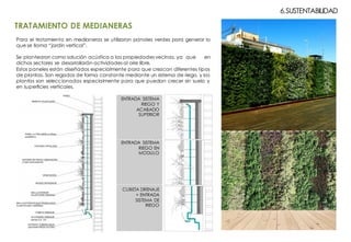 ENTRADA SISTEMA
RIEGO Y
ACABADO
SUPERIOR
ENTRADA SISTEMA
RIEGO EN
MODULO
CUBETA DRENAJE
+ ENTRADA
SISTEMA DE
RIEGO
Para el tratamiento en medianeras se utilizaron panales verdes para generar lo
que se llama “jardín vertical”.
Se plantearon como solución acústica a las propiedades vecinas, ya que en
dichos sectores se desarrollarán actividades al aire libre.
Estos paneles están diseñados especialmente para que crezcan diferentes tipos
de plantas. Son regados de forma constante mediante un sistema de riego, y las
plantas son seleccionadas especialmente para que puedan crecer sin suelo y
en superficies verticales.
6.SUSTENTABILIDAD
TRATAMIENTO DE MEDIANERAS
 