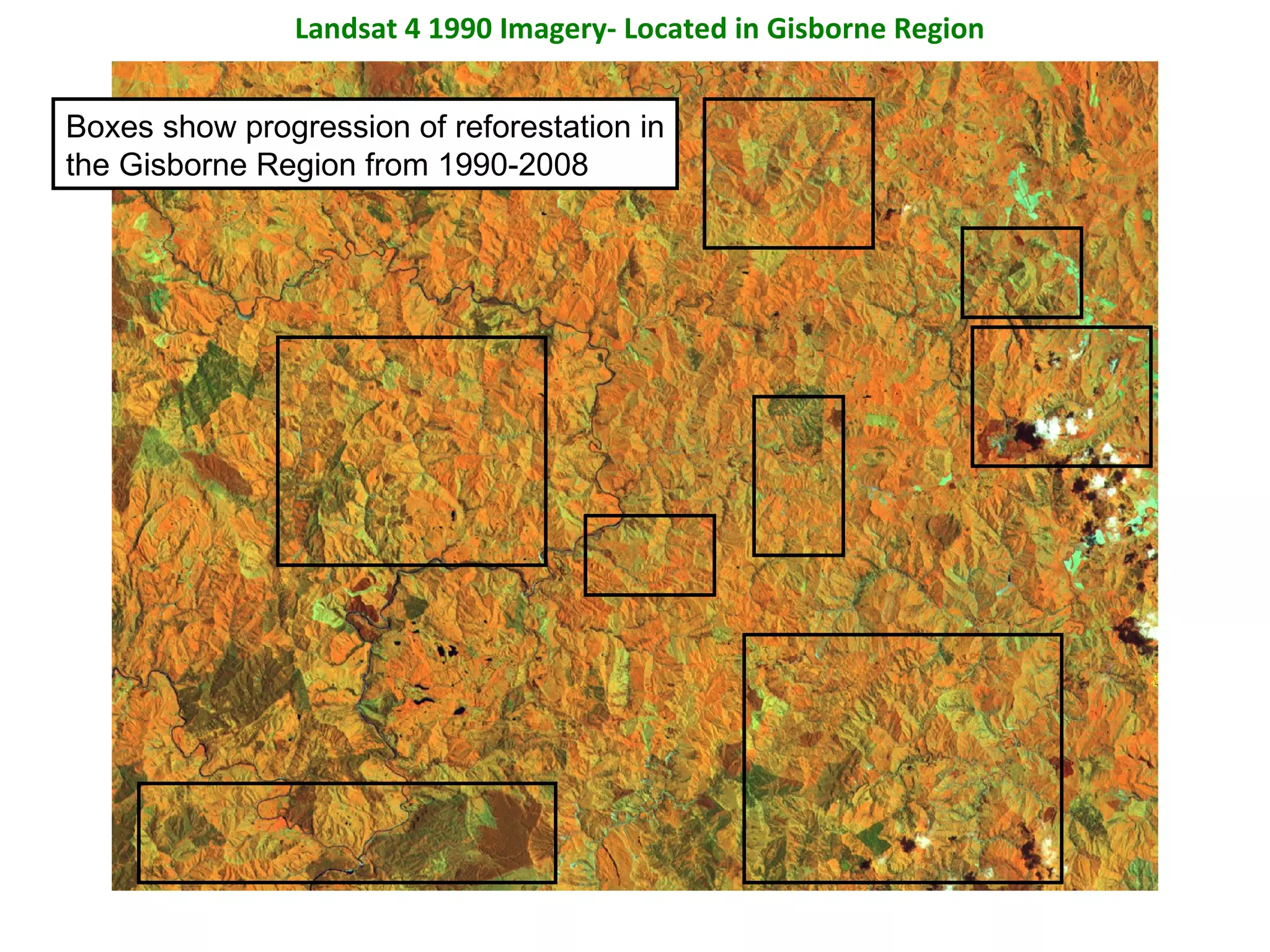 Landsat 4 1990 Imagery- Located in Gisborne Region Boxes show progression of reforestation in the Gisborne Region from 1990-2008 