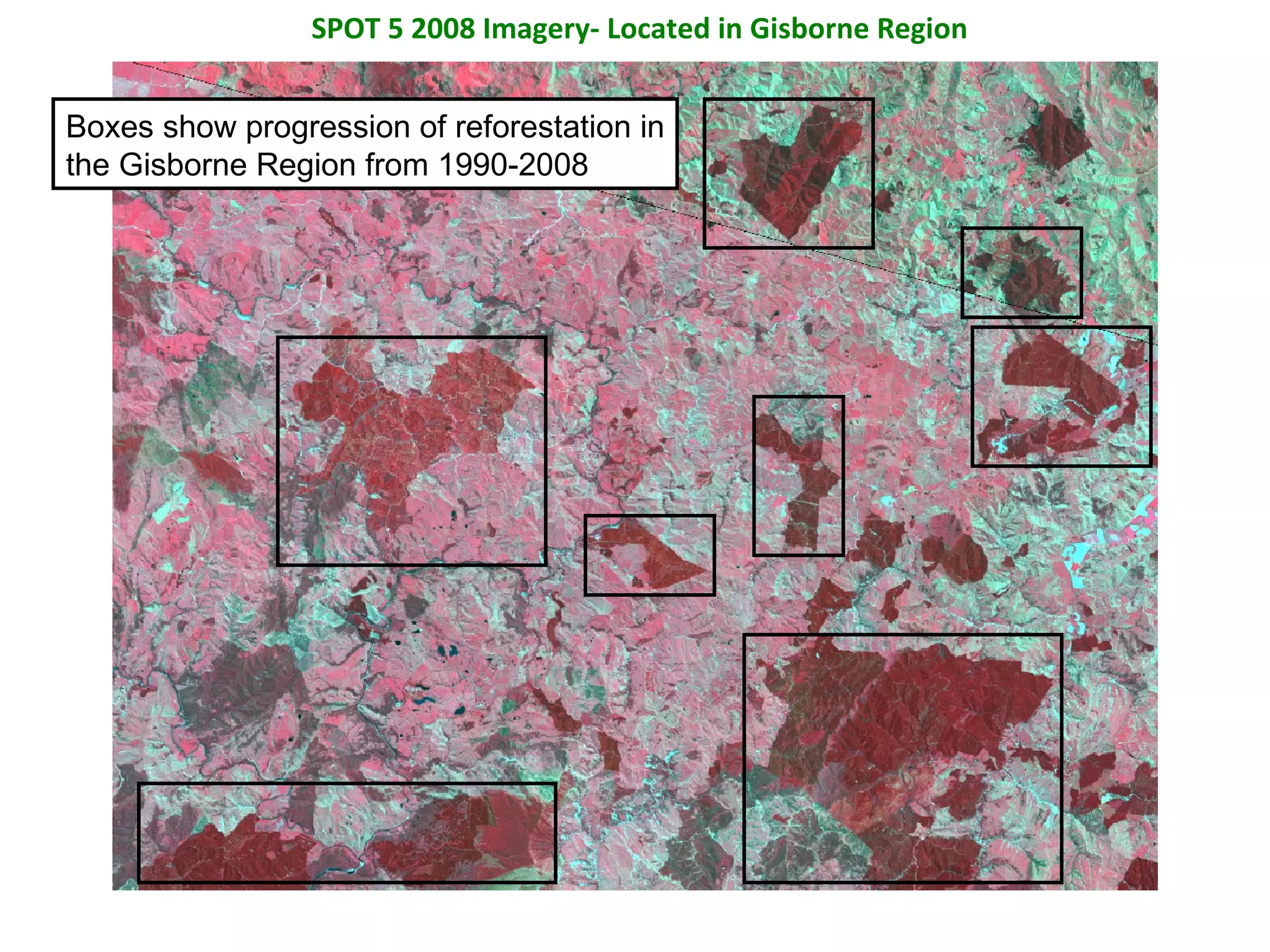 SPOT 5 2008 Imagery- Located in Gisborne Region Boxes show progression of reforestation in the Gisborne Region from 1990-2008 