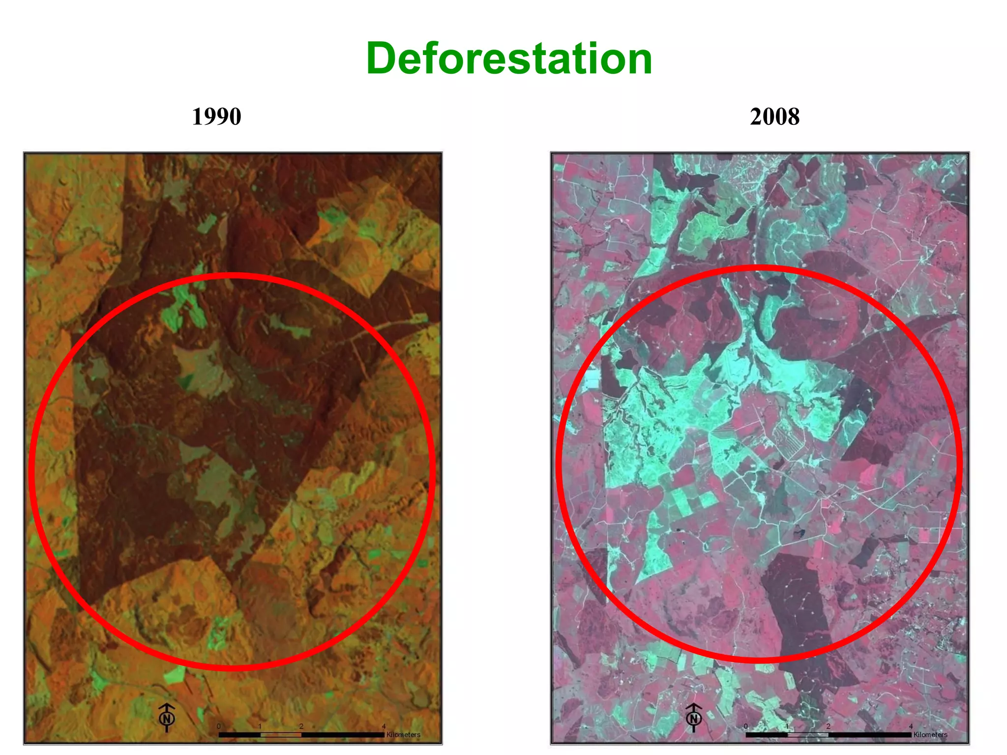Deforestation 1990 2008 