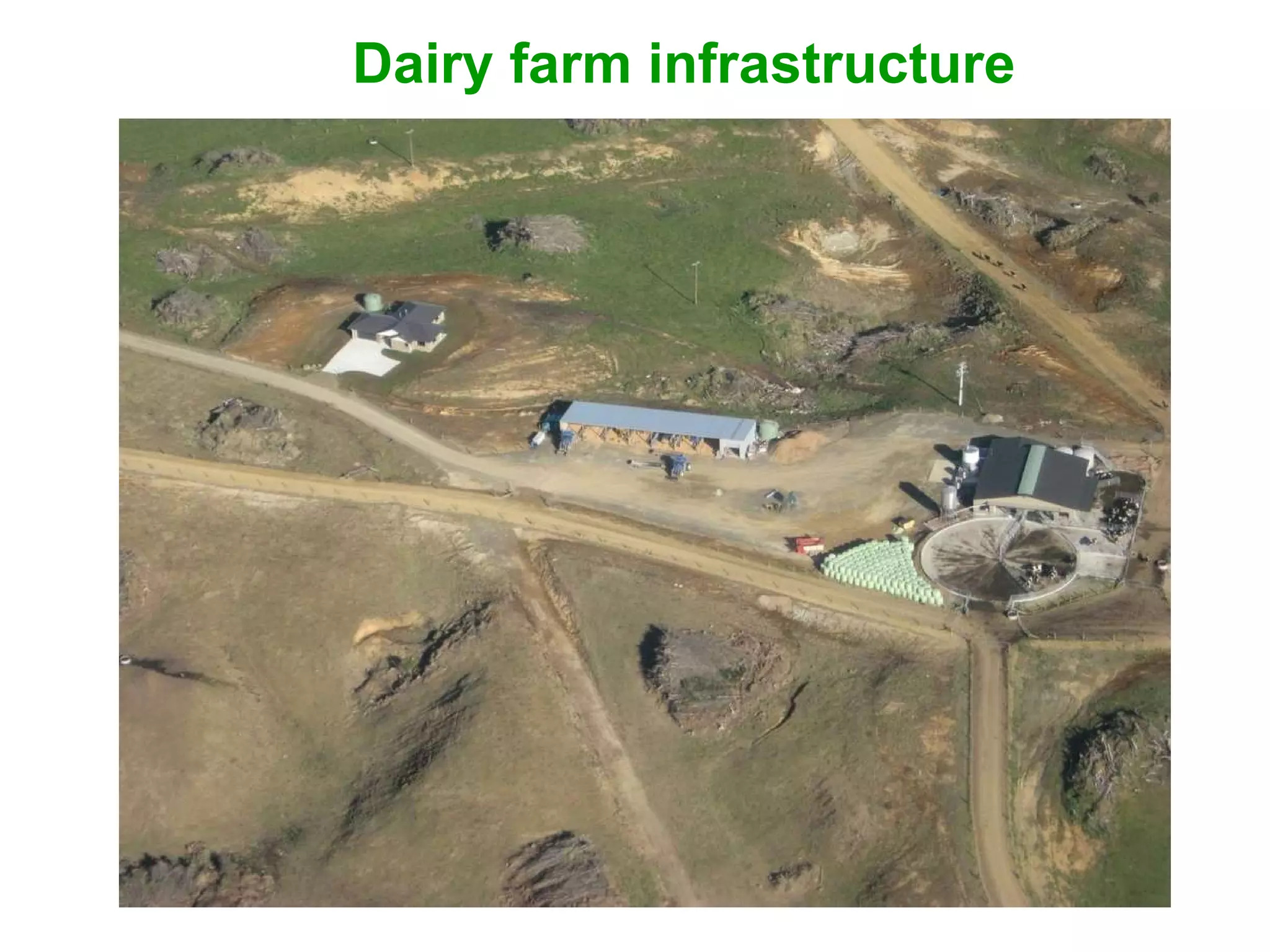Dairy farm infrastructure 