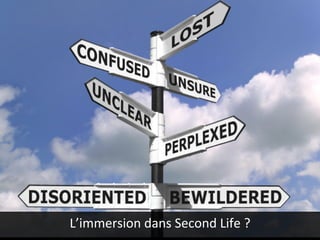 L’immersion	dans	Second	Life	?	
 