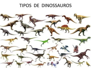 TIPOS DE DINOSSAUROS
 