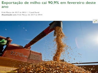 E a importação de
milho?
Fonte: Canal Rural
 