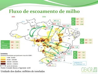 Fluxo de escoamento de milho
Fonte: Conab, Secex e Agrostat 2016
Unidade dos dados: milhões de toneladas
 