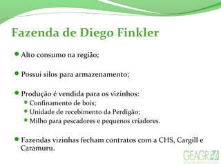Fazenda de Diego Finkler
Alto consumo na região;
Possui silos para armazenamento;
Produção é vendida para os vizinhos:
Confinamento de bois;
Unidade de recebimento da Perdigão;
Milho para pescadores e pequenos criadores.
Fazendas vizinhas fecham contratos com a CHS, Cargill e
Caramuru.
 