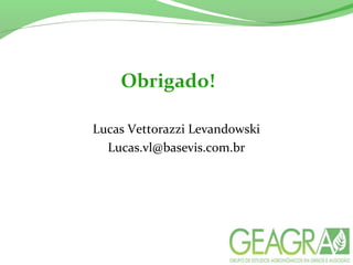 Obrigado!
Lucas Vettorazzi Levandowski
Lucas.vl@basevis.com.br
 