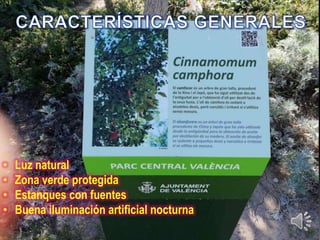 • Luz natural
• Zona verde protegida
• Estanques con fuentes
• Buena iluminación artificial nocturna
 