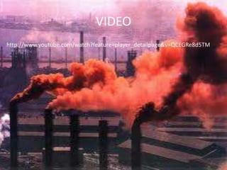 VIDEO
http://www.youtube.com/watch?feature=player_detailpage&v=QCEGRe8d5TM
 