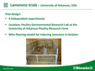 Trial design:
 4 independent experiments
 Location: Poultry Environmental Research Lab at the
University of Arkansas Poultry Research Farm
 Wire flooring model for inducing lameness in broilers
Lameness trials - University of Arkansas, USA
 
