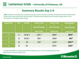 Table: incidence % of lameness in broilers from two lines (C or D) that were fed control broiler starter feed (Control
Feed) or the same feed containing PoultryStar® (Probiotic) while being reared on wood shavings litter or wire
flooring from 1 through 56 days of age.
a,b Values with different superscripts differed significantly at P < 0.05 using repeated Z-tests
(SigmaPlot) to compare proportions.
Experiment Line Gender Control Feed
+
Wood Shavings
Total Lame
Control Feed
+
Wire Flooring
Total Lame
PoultryStar®
+
Wire Flooring
Total Lame
1 C M & F 12% b 68%a 36%b
2 D M & F 8%b 28%a 8%b
3 D M 2%b 22%a 10%ab
4 D M - 32%a 18%b
Summary Results Exp 1-4
Lameness trials - University of Arkansas, US
 