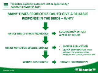 Probiotics in poultry nutrition: cost or opportunity?
BAROMFI CONGRESS 2013
MANY TIMES PROBIOTICS FAIL TO GIVE A RELIABLE
RESPONSE IN THE BIRDS – WHY?
USE OF SINGLE-STRAIN PROBIOTICS
COLONIZATION OF JUST
A PART OF THE GIT
USE OF NOT SPECIE-SPECIFIC STRAINS
• SLOWER REPLICATION
• QUICK ELIMINATION (ONCE
REGULAR CONSUMPTION OF THE
PROBIOTIC HAS CEASED) – Tannock, 2001
WRONG POSITIONING GROWTH PROMOTION??
 