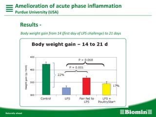 Body weight gain from 14 (first day of LPS challenge) to 21 days
Amelioration of acute phase inflammation
Purdue University (USA)
Results -
 