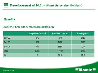 Number of birds with NE lesions per sampling day
Results
Development of N.E. - Ghent University (Belgium)
 