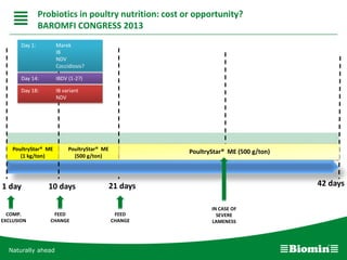 Naturally ahead
21 days 42 days1 day
Day 1: Marek
IB
NDV
Coccidiosis?
Day 14: IBDV (1-2?)
Day 18: IB variant
NDV
10 days
FEED APPLICATIONPoultryStar® ME
(1 kg/ton)
FEED
CHANGE
FEED
CHANGE
PoultryStar® ME (500 g/ton)
IN CASE OF
SEVERE
LAMENESS
COMP.
EXCLUSION
Probiotics in poultry nutrition: cost or opportunity?
BAROMFI CONGRESS 2013
PoultryStar® ME
(500 g/ton)
 