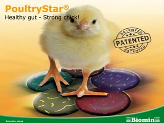PoultryStar®
Healthy gut - Strong chick!
 