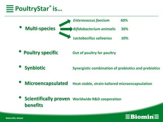 • Poultry specific Out of poultry for poultry
• Multi-species
• Synbiotic Synergistic combination of probiotics and prebiotics
PoultryStar® is…
• Microencapsulated Heat-stable, strain-tailored microencapsulation
• Scientifically proven
benefits
Worldwide R&D cooperation
Enterococcus faecium 60%
Bifidobacterium animalis 30%
Lactobacillus salivarius 10%
 