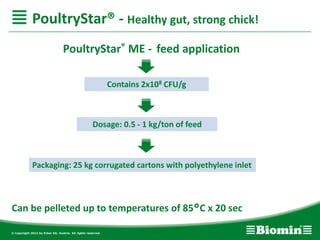 PoultryStar® ME - feed application
Can be pelleted up to temperatures of 85°C x 20 sec
Packaging: 25 kg corrugated cartons with polyethylene inlet
Contains 2x108 CFU/g
Dosage: 0.5 - 1 kg/ton of feed
PoultryStar® - Healthy gut, strong chick!
 