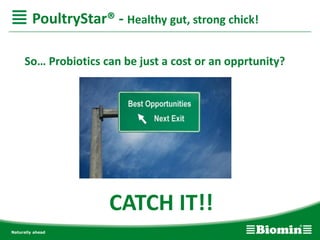 PoultryStar® - Healthy gut, strong chick!
So… Probiotics can be just a cost or an opprtunity?
CATCH IT!!
 