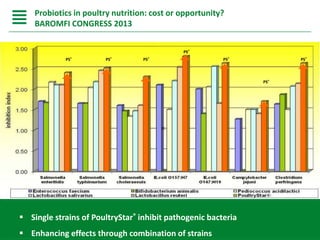  Single strains of PoultryStar® inhibit pathogenic bacteria
 Enhancing effects through combination of strains
PS®PS®
PS®
PS® PS®PS®
PS®
Probiotics in poultry nutrition: cost or opportunity?
BAROMFI CONGRESS 2013
 