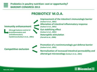 PROBIOTICS’ M.O.A.
Immunity enhancement
Improvement of the intestine’s immunologic barrier
(Isolauri et al., 2001)
Alleviation of intestinal inflammatory response
(Isolauri et al., 2001)
Gut stabilizing effect
(Isolauri et al., 2001)
(through balance control of
proinflammatory and
antiinflammatory
Cytokines) (Isolauri et al., 2001)
Heterophils stimulation
(Farnell et al., 2006)
Competitive exclusion
Promotion of a nonimmunologic gut defense barrier
(Isolauri et al., 2001)
Normalization of increased intestinal permeability and
altered gut microecology (Isolauri et al., 2001)
Probiotics in poultry nutrition: cost or opportunity?
BAROMFI CONGRESS 2013
 