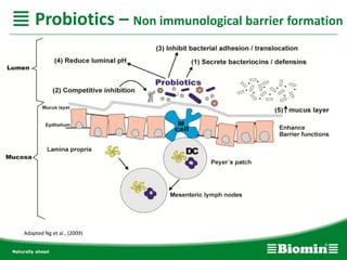 Probiotics – Non immunological barrier formation
Adapted Ng et al., (2009)
 