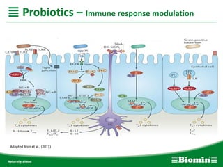 Probiotics – Immune response modulation
Adapted Bron et al., (2011)
 