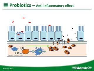 IL 10
IL 10
Copyright © BIOMIN GmbH
Probiotics – Anti-inflammatory effect
 