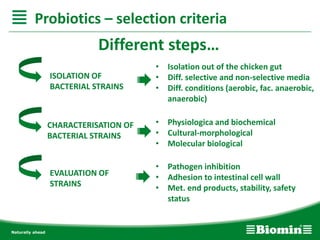 Different steps…
Probiotics – selection criteria
ISOLATION OF
BACTERIAL STRAINS
• Isolation out of the chicken gut
• Diff. selective and non-selective media
• Diff. conditions (aerobic, fac. anaerobic,
anaerobic)
CHARACTERISATION OF
BACTERIAL STRAINS
• Physiologica and biochemical
• Cultural-morphological
• Molecular biological
EVALUATION OF
STRAINS
• Pathogen inhibition
• Adhesion to intestinal cell wall
• Met. end products, stability, safety
status
 
