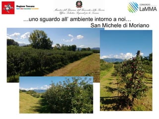 …uno sguardo all’ ambiente intorno a noi…
San Michele di Moriano
 