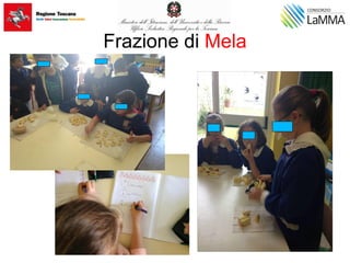 Frazione di Mela
 