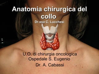 Anatomia chirurgica del collo  Dr.ssa C. Lucchesi U.O. di chirurgia oncologica Ospedale S. Eugenio  Dr. A. Cabassi 