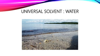 UNIVERSAL SOLVENT : WATER
 