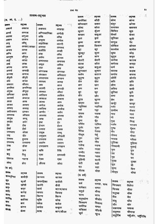 सामान्य हिन्दी(Lucent).pdf