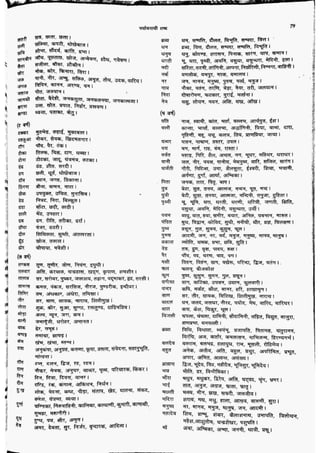 सामान्य हिन्दी(Lucent).pdf