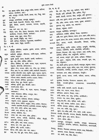 सामान्य हिन्दी(Lucent).pdf