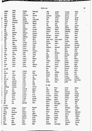 सामान्य हिन्दी(Lucent).pdf