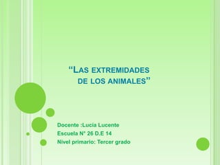 “LAS EXTREMIDADES
DE LOS ANIMALES”

Docente :Lucía Lucente
Escuela N° 26 D.E 14
Nivel primario: Tercer grado

 