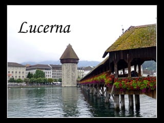 Lucerna
 