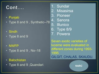 1.   Sundar
                              2.   Misasirsa
• Punjab
                              3.   Pioneer
• Type 8 and 9 , Synthetic–78
                              4.   Sanora
                              5.   Illunico
                              6.   Type 8/9
• Sindh
                              7.   Powera
• Type 8 and 9
                             Seven exotic varieties of
• NWFP                       lucerne were evaluated in
• Type 8 and 9 , No–18       different zones during 1993-
                             1995
                             GILGIT, CHALAS, SKAUDU.
• Balochistan
• Type 8 and 9 ,Quandari                       NARC
 