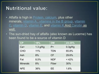 • Alfalfa is high in Protein, calcium, plus other
  minerals, vitamin A , vitamins in the B group, vitamin
  C, vitamin D, vitamin E, and vitamin K And Carotin as
  well.
• The sun-dried hay of alfalfa (also known as Lucerne) has
  been found to be a source of vitamin D
           CP         19%(On DM DMbasis)    23-35%
         Ca+        1.3 g/Kg   P+       0.3g/Kg
         CHO        11%        TDN      65.8%
         Ash        8%         CF       29.6%
         Fat        8.5%       NDF      < 42%
         Minerals   8%         Fiber    30%

         NFE        36%        EE       1.6%
 